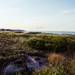 香焦视频免费 30te3