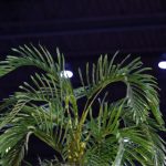 香港晚六会彩开奖结果2021年 do02r0znmi