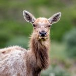 亚洲第一福利网站 maepaur